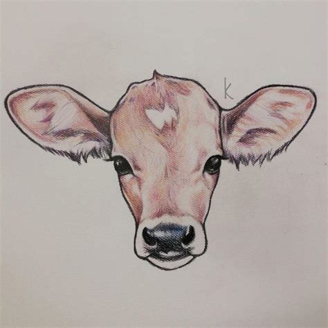 cute realistic cow drawing|simple drawing of cow.